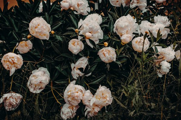 Wie kann man mit Dekorationen eine gemÃ¼tliche AtmosphÃ¤re schaffen?