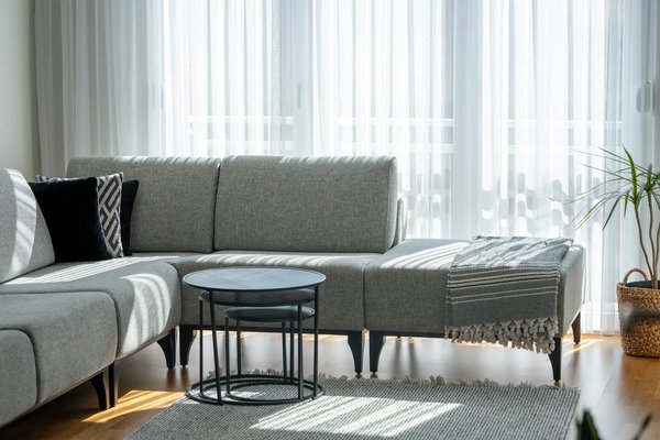 Wie kann man einen Garten anlegen der Bienen und Schmetterlinge anzieht?